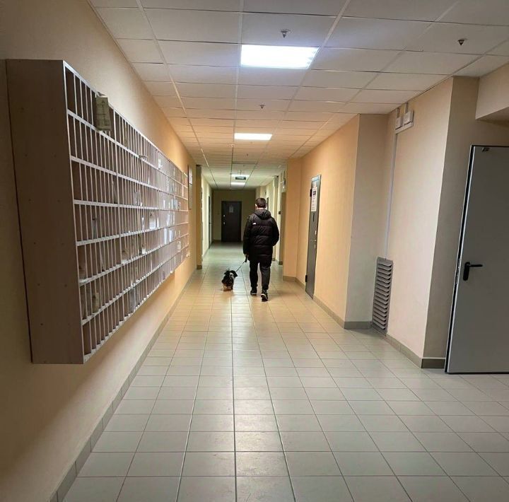 квартира г Пермь р-н Свердловский ул Куйбышева 109а фото 18