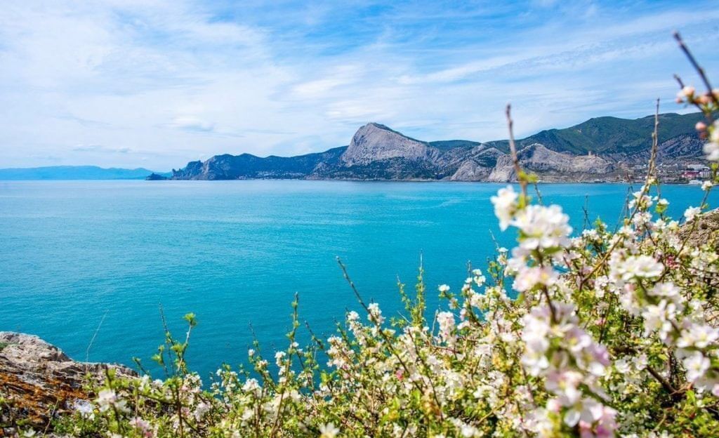 квартира г Судак ул Набережная 75 фото 6