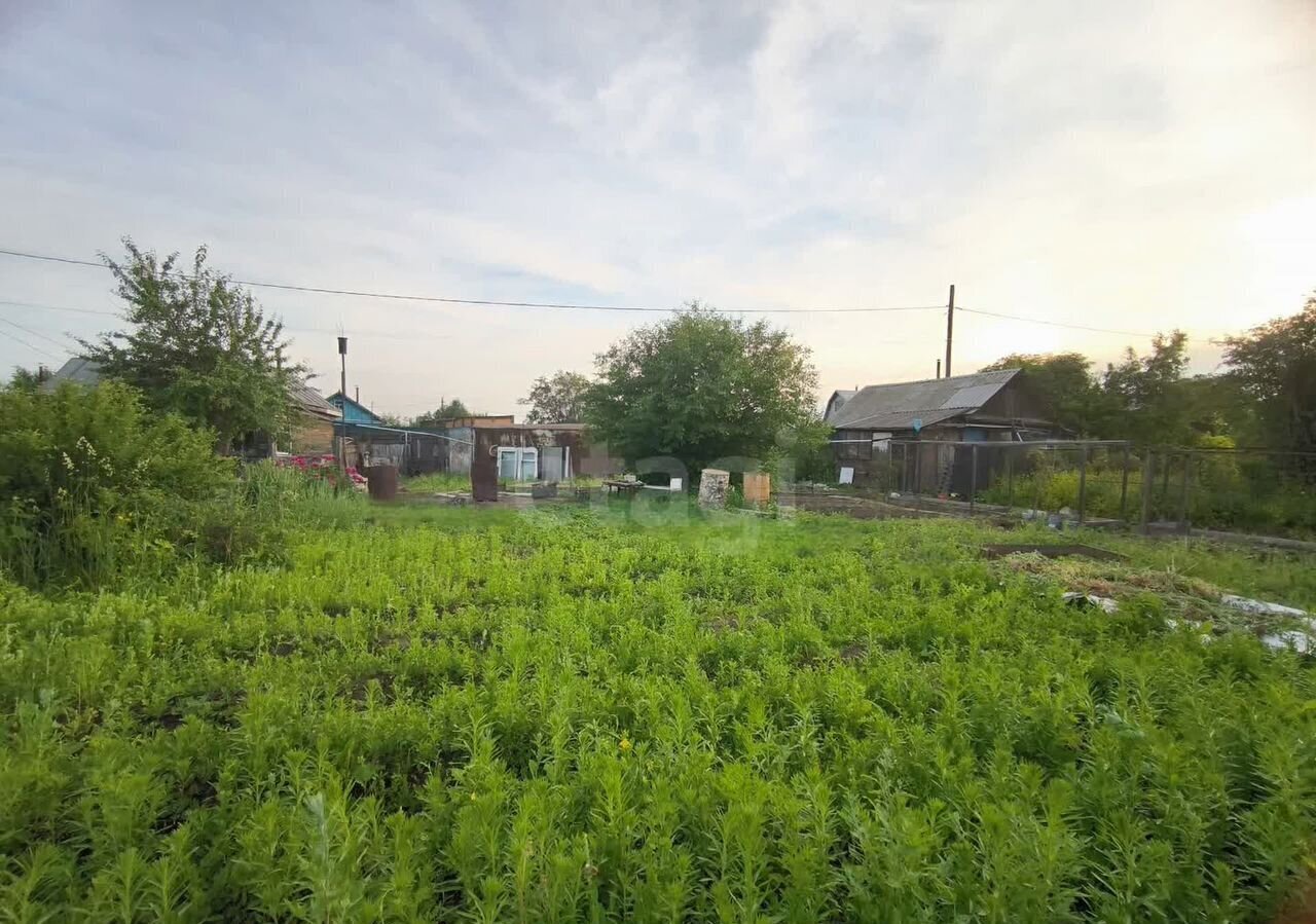 земля г Красноярск р-н Ленинский садовое товарищество Химик фото 2