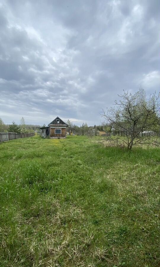 земля р-н Чудовский г Чудово городское поселение город Чудово, СТ Полянка фото 5