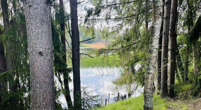 Вырица городской поселок, ул. Лейтенанта Шмидта фото