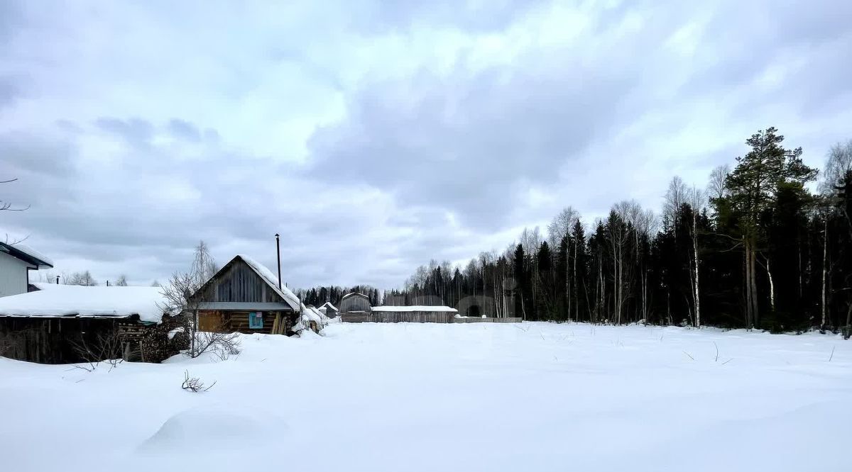 земля г Сыктывкар Эжвинский 126Б, Надежда СНТ фото 5