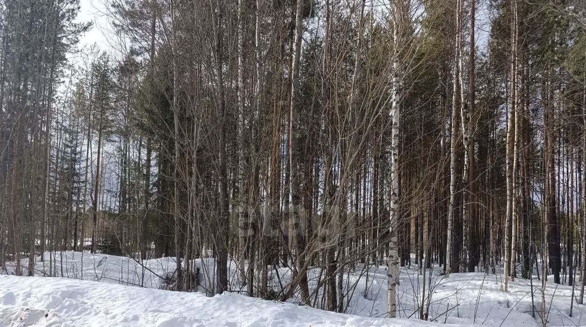 земля г Сыктывкар пгт Верхняя Максаковка Яг-кар мкр фото 7