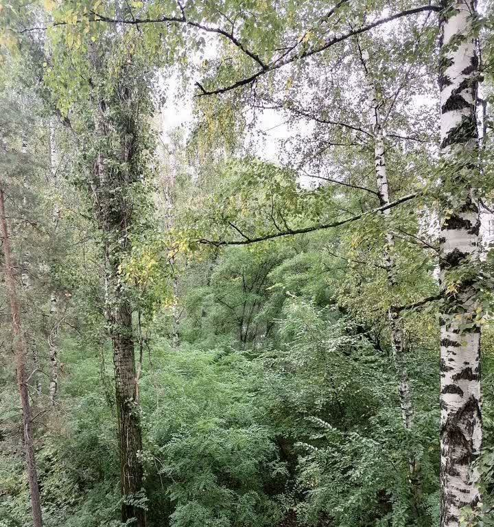 квартира г Воронеж Придонской ул Латненская 19а фото 6