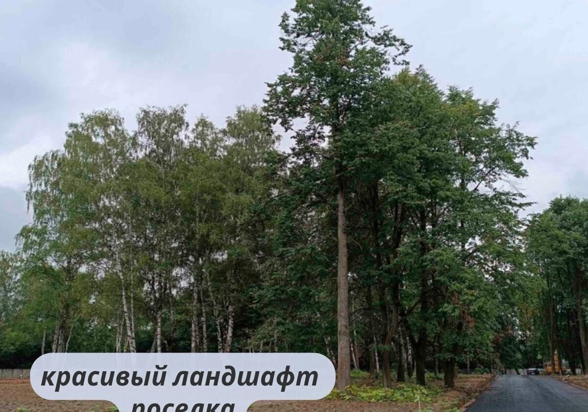 земля г Королев мкр Первомайский ул К.Либкнехта 28 12 км, Ярославское шоссе фото 6