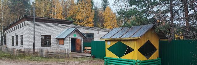 р-н Кирово-Чепецкий с/п Пасеговское фото