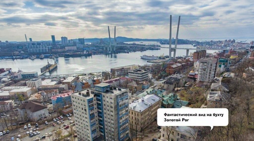 земля г Владивосток р-н Ленинский ул Пушкинская 43а фото 1
