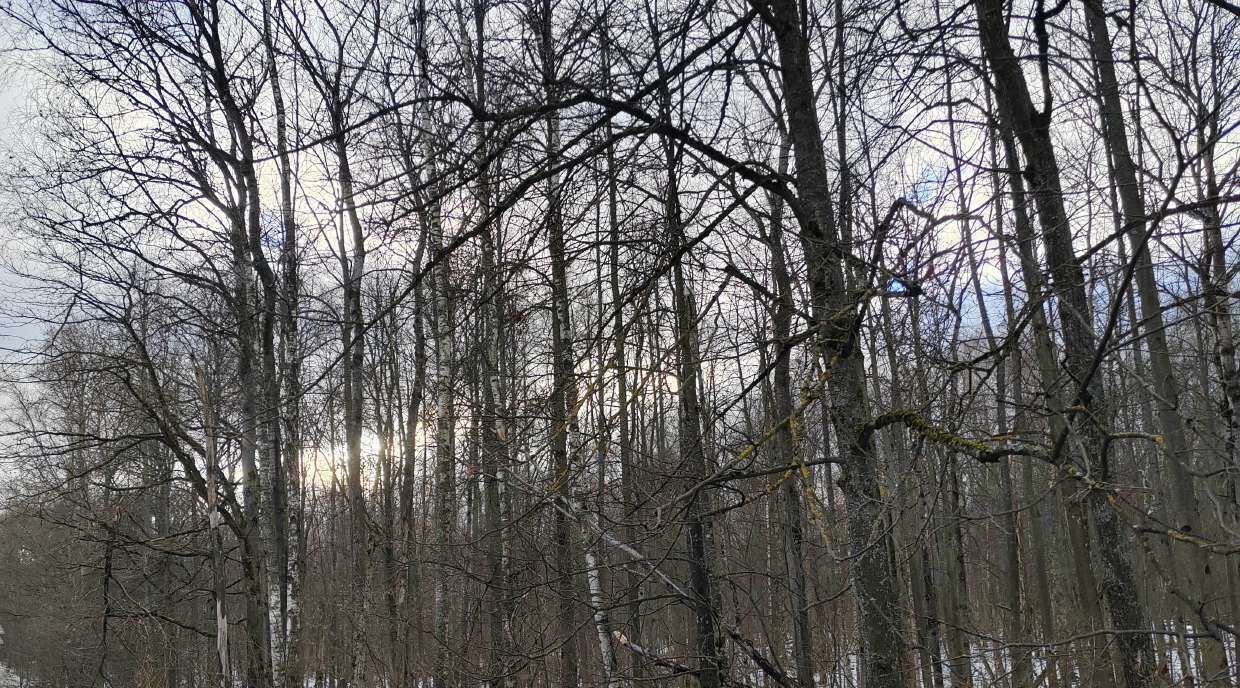 офис г Чехов фото 2