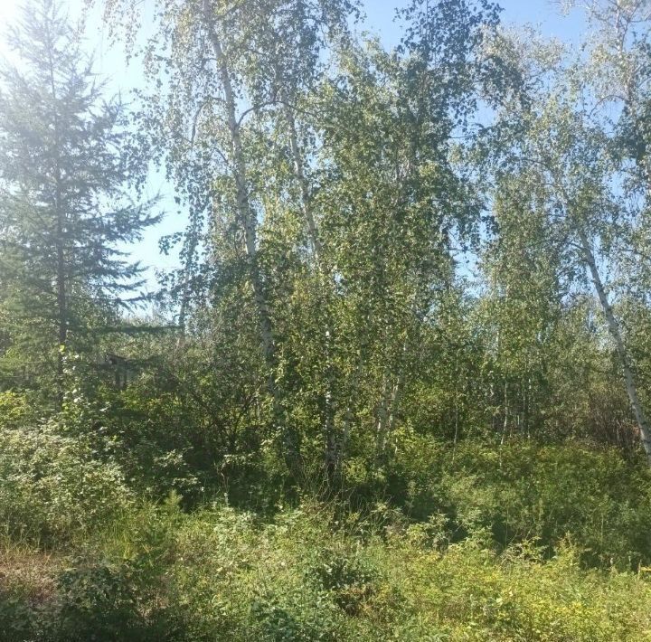 земля г Якутск пер Маганский 6йм фото 4