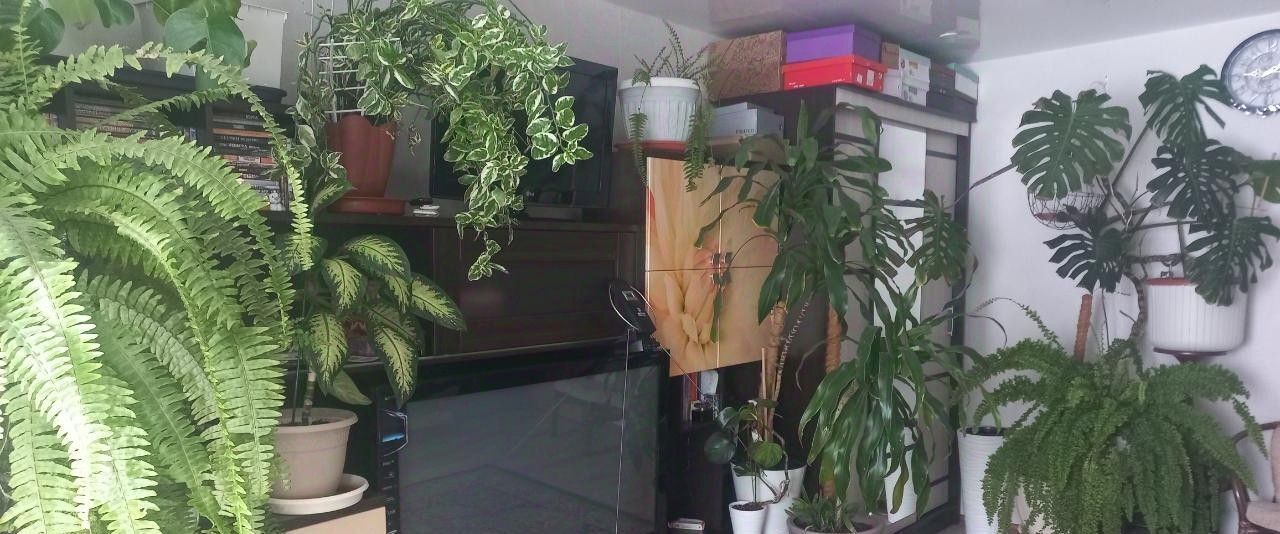 квартира г Якутск ул Можайского 13/3г 2 фото 5