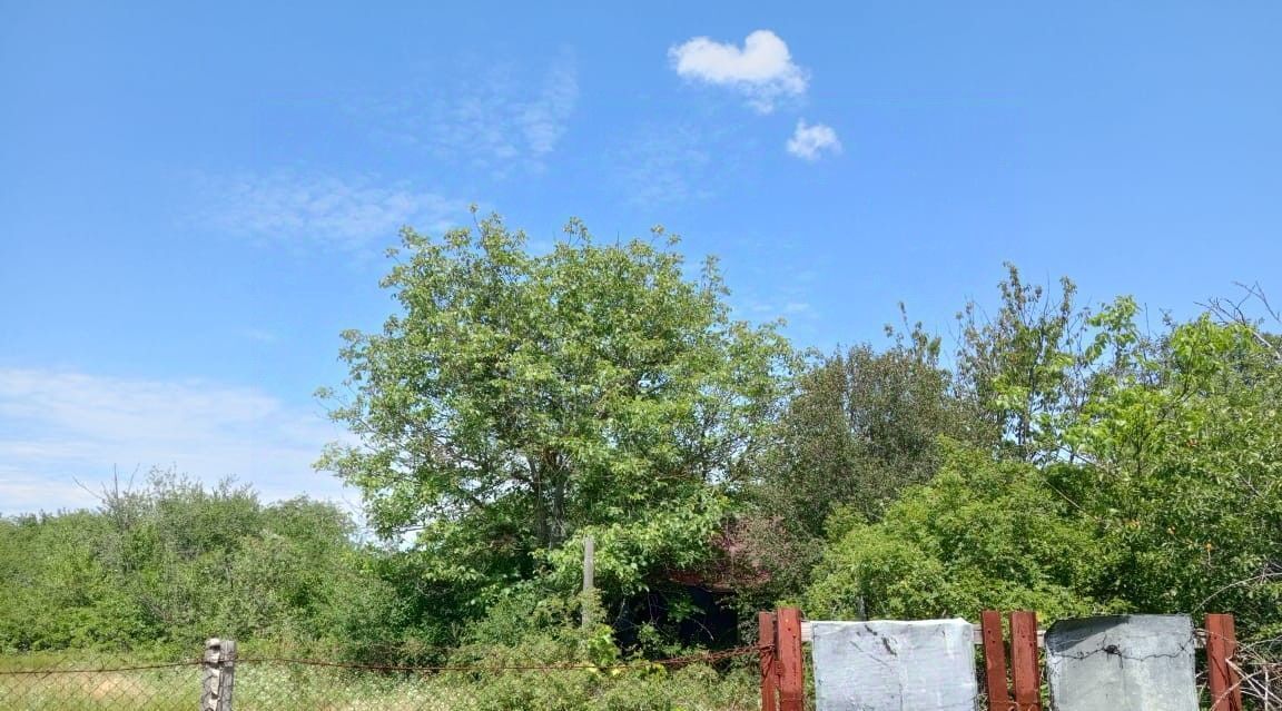 земля р-н Ейский г Ейск снт Восход Широчанка, 241 фото 5