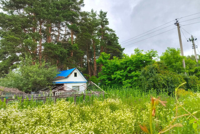 земля снт тер.Зарыбинская дача фото