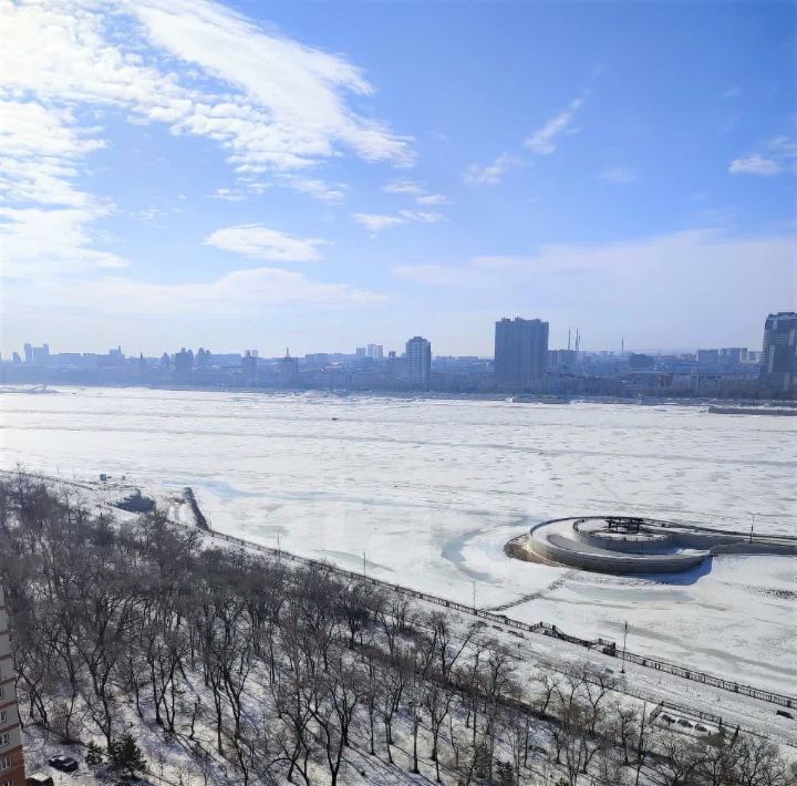 квартира г Благовещенск ул Ленина 176/2 фото 11