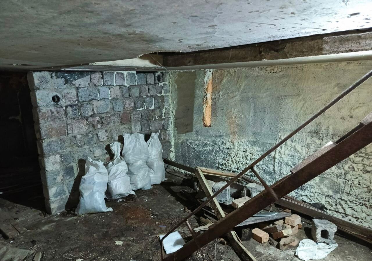 гараж г Нижний Новгород п Парышево Парк культуры ул Зеленхозовская 4ак/9 фото 8