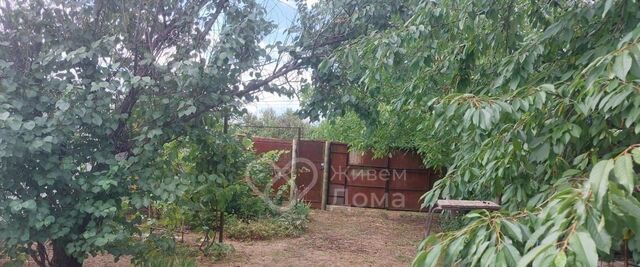 снт Синтетика ул Абрикосовая фото
