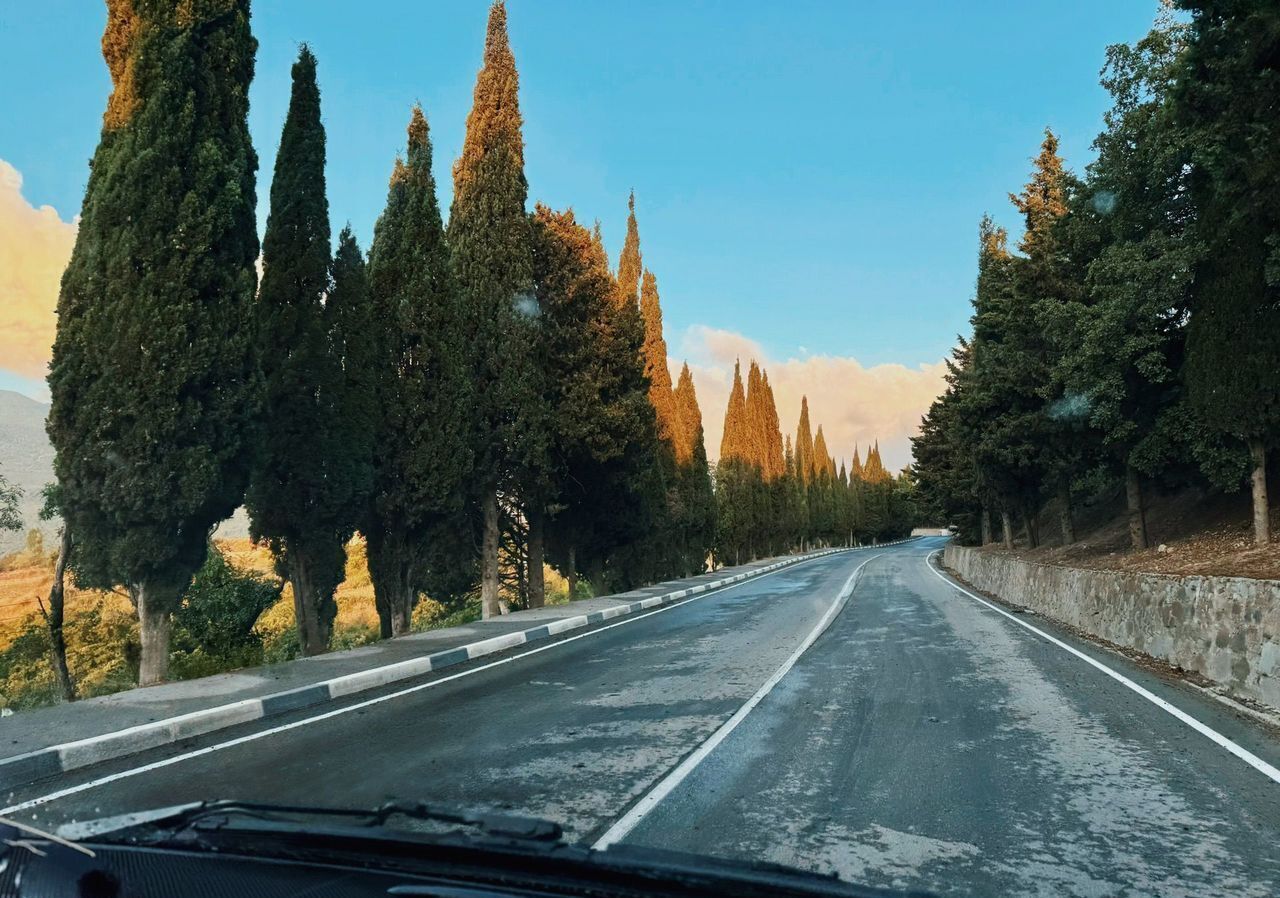 земля г Алушта п Розовый фото 7