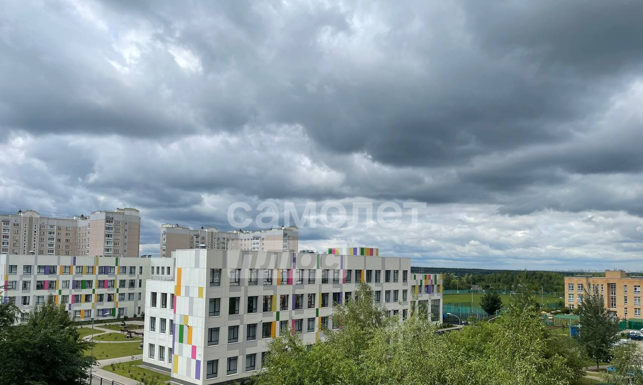 квартира г Подольск п Кузнечики м-н, улица Академика Доллежаля, 18 фото 15