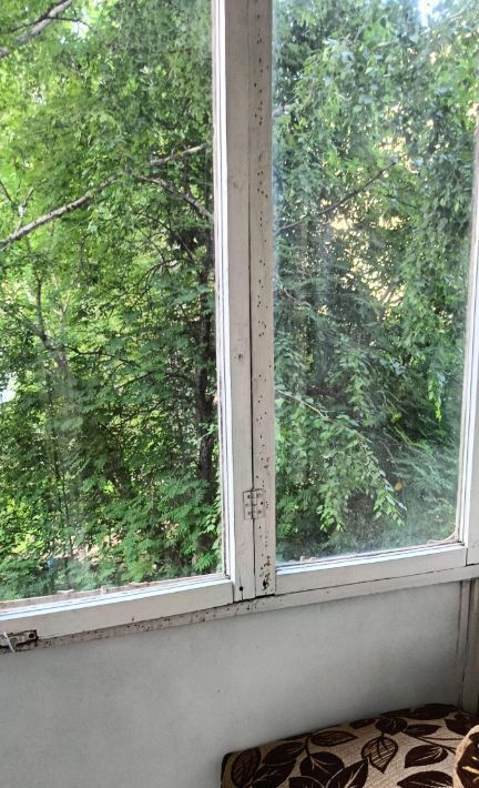 квартира г Новосибирск Берёзовая роща ул Олеко Дундича 1 фото 10
