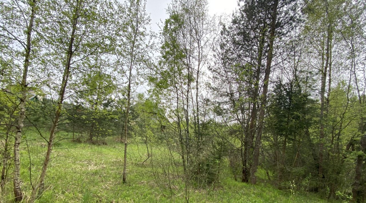 земля г Черноголовка с Макарово снт тер.Пружонка 151 фото 2
