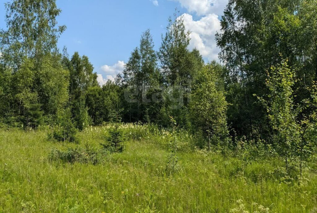 земля г Солнечногорск садовое товарищество Кортис фото 3