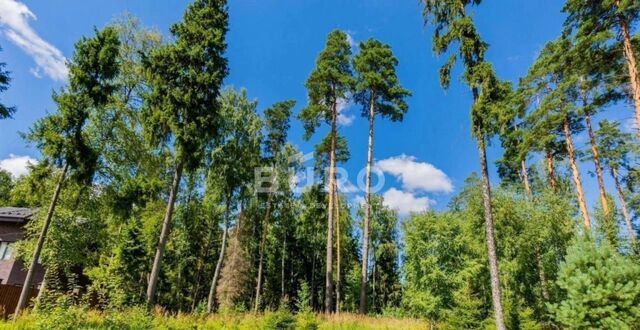 земля 23 км, КП Лесные зори, Западная ул., 11, Рождествено, Волоколамское шоссе фото