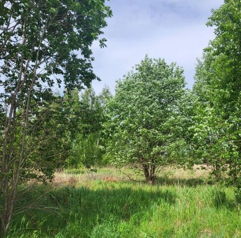 с Переборово муниципальное образование, Павловское фото