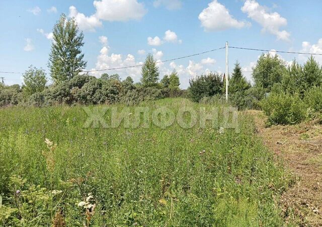 рп Колывань снт Приобье фото