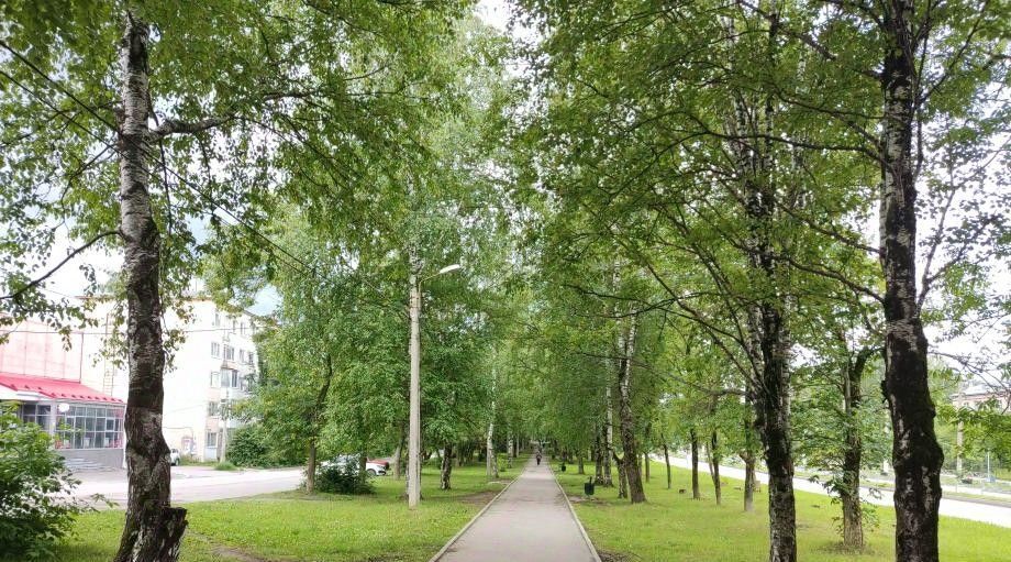 квартира г Березники ул Юбилейная 24 фото 16