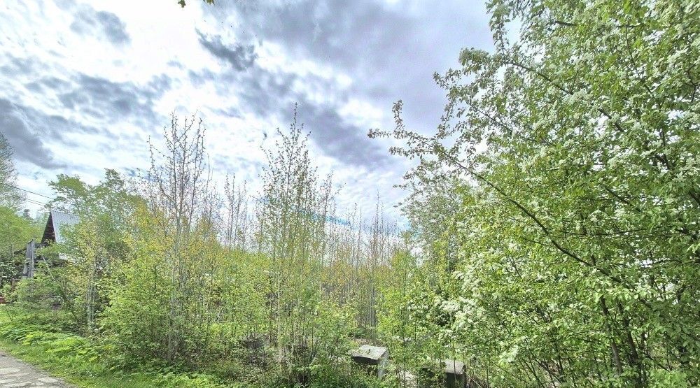 земля г Екатеринбург Уральская Любимец КС, 56 фото 3
