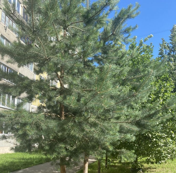 квартира г Тверь р-н Заволжский ул Паши Савельевой 52 фото 39
