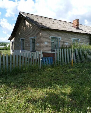 Республика Татарстан Татарстан, Багряжское сельское поселение, Заинск фото