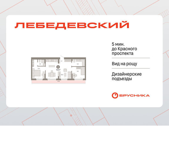 квартал № 5 Заельцовская ЖК «Лебедевский» фото