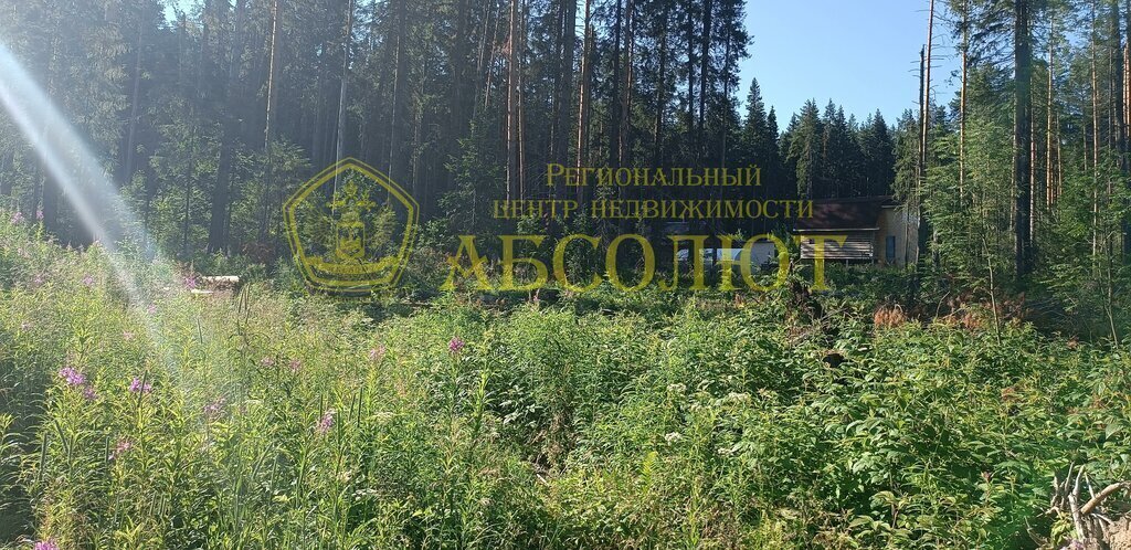 земля г Ревда фото 9