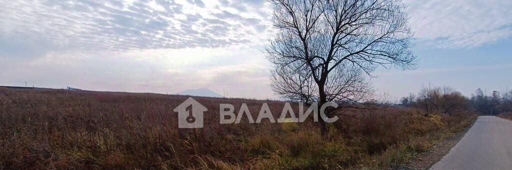 офис г Арсеньев фото 2