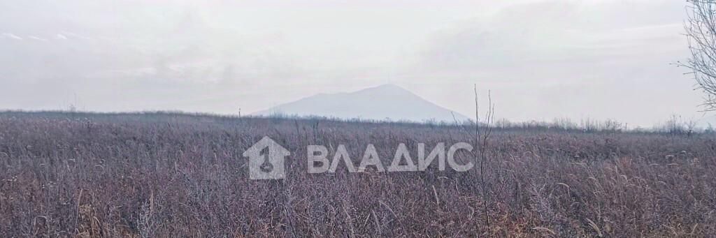 офис г Арсеньев фото 4