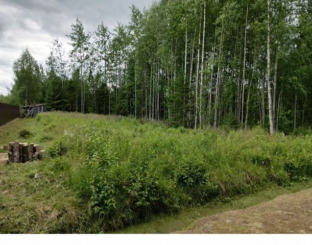 муниципальное образование Выльгорт, СТ Речник, 294, Верхняя Максаковка фото