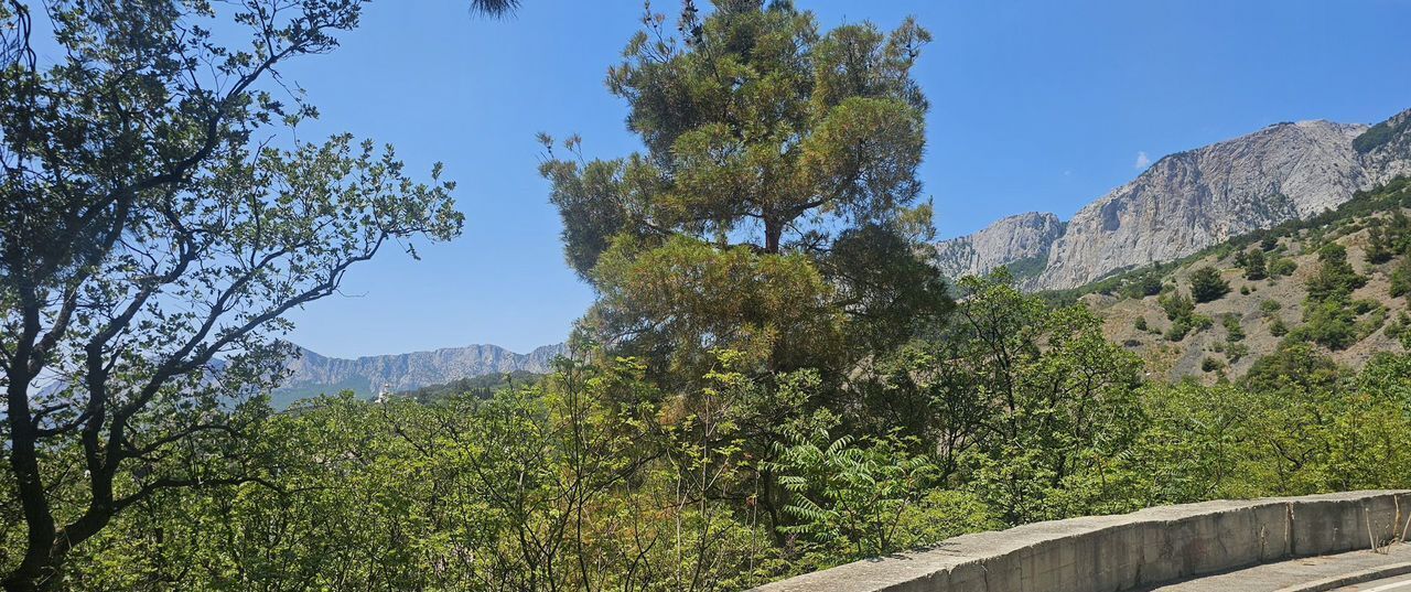 земля г Ялта пгт Береговое ул Кипарисная г Алупка фото 12