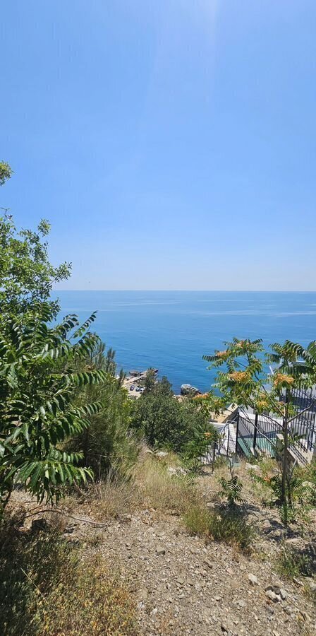 земля г Ялта пгт Береговое ул Кипарисная г Алупка фото 3