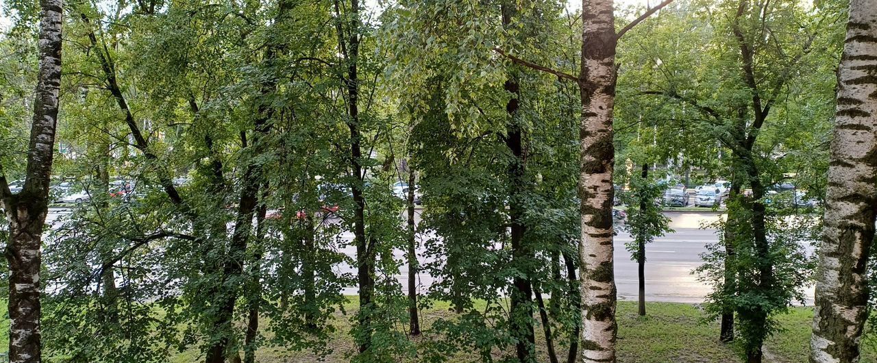 квартира г Нижний Новгород р-н Советский Ленинская пр-кт Гагарина 62 фото 17