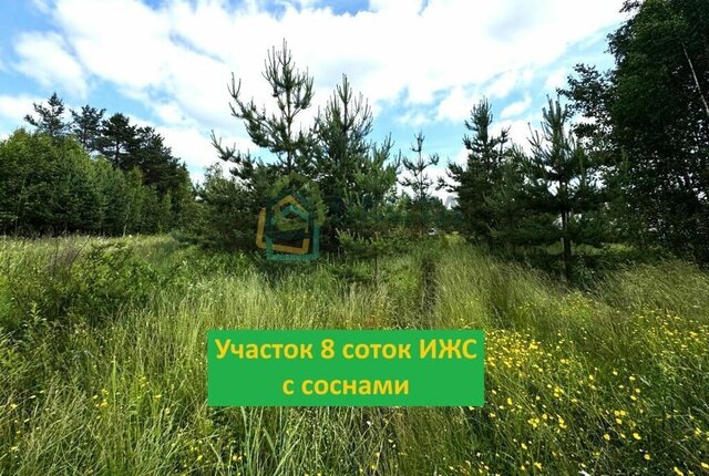 ул Новая Обухово фото