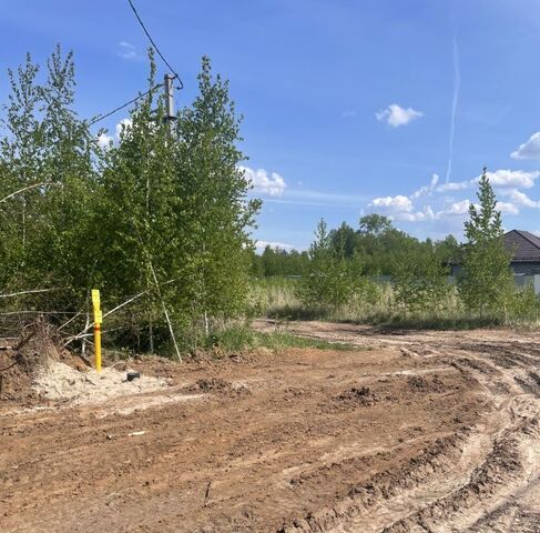 ул Береговая Нижний Новгород фото