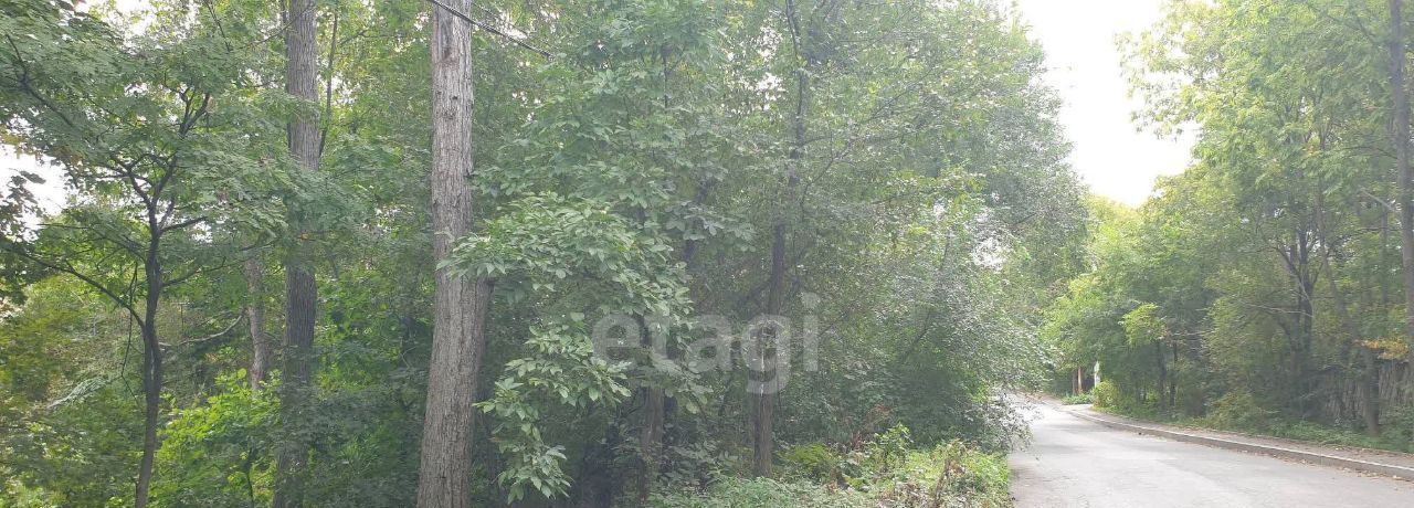 земля г Владивосток р-н Ленинский ул Гоголя 12 фото 14
