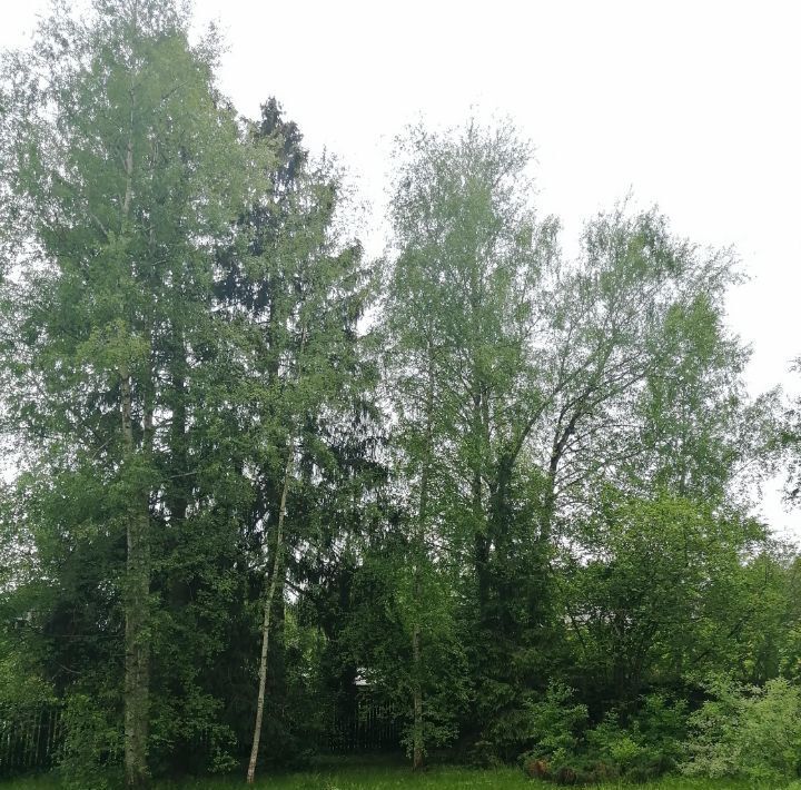 дом городской округ Наро-Фоминский г Апрелевка Победа фото 24