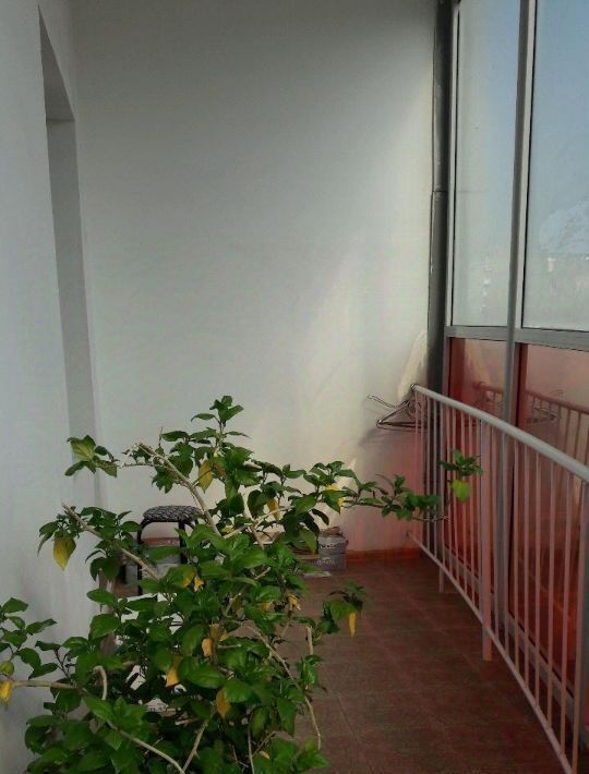 квартира г Якутск ул Чиряева 5/1 фото 2