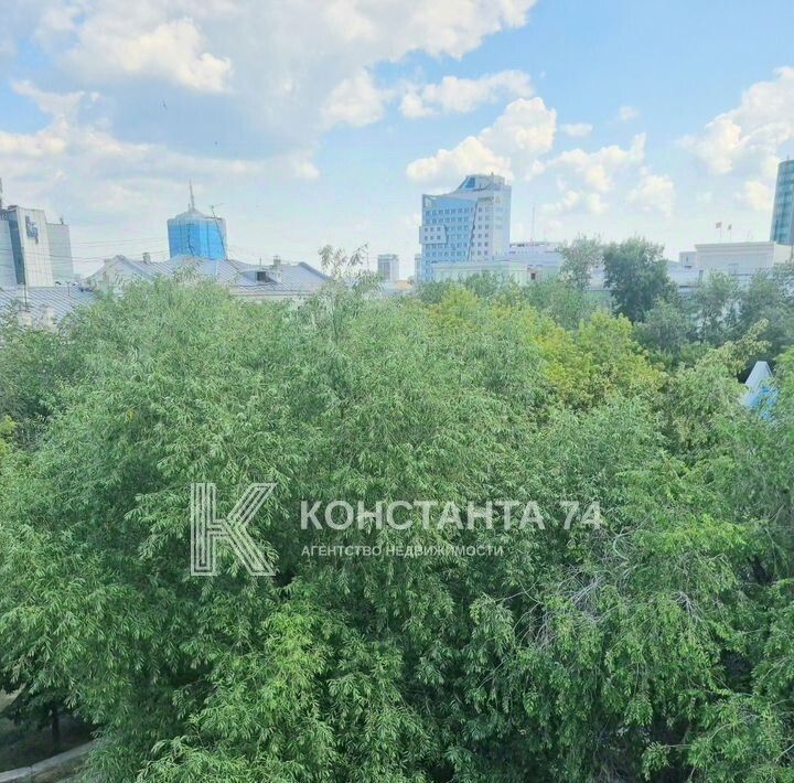 квартира г Челябинск р-н Центральный ул Красная 69 фото 21