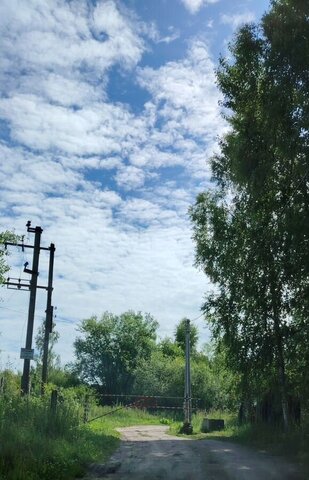 снт тер.Транспортник фото