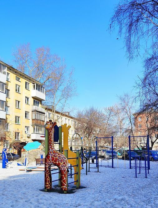 квартира г Новосибирск Маршала Покрышкина ул Некрасова 59 фото 23