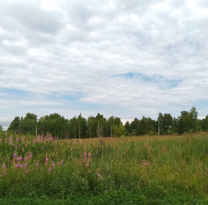 земля г Томск мкр Каменка ул Тихая р-н Советский фото 7