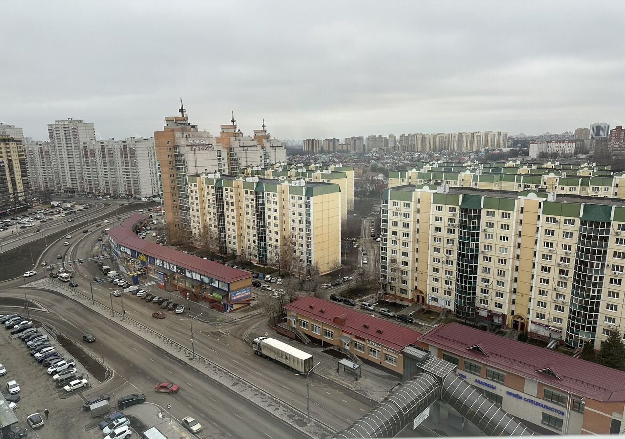 квартира г Воронеж р-н Центральный ул Шишкова 142 фото 8