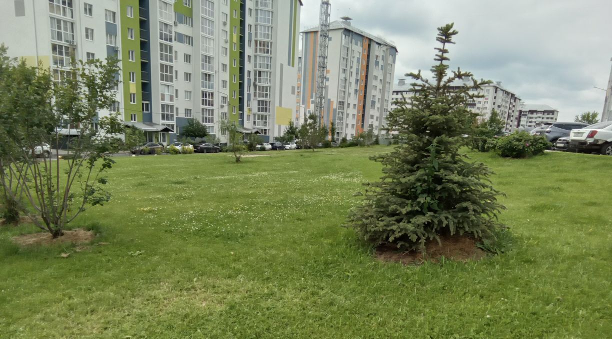 квартира г Курск р-н Центральный пр-кт Надежды Плевицкой 25 фото 20